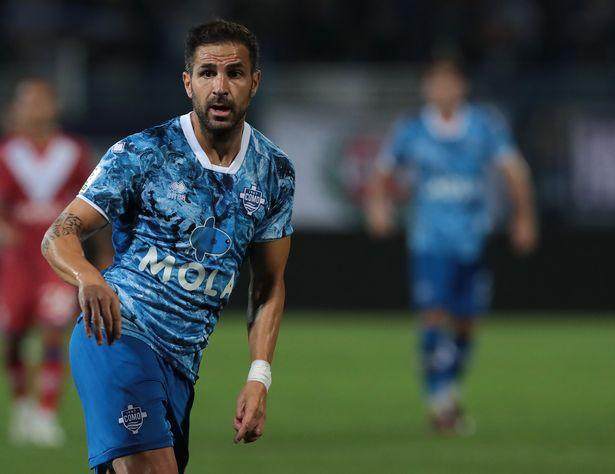 开云官网-法布雷加斯宣布退役：告别球员身份，开启执教生涯